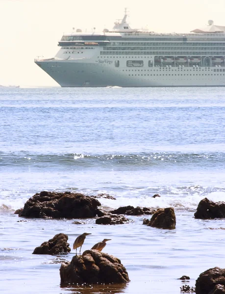 Cruise schip zeilen in de buurt van de kust — Stockfoto