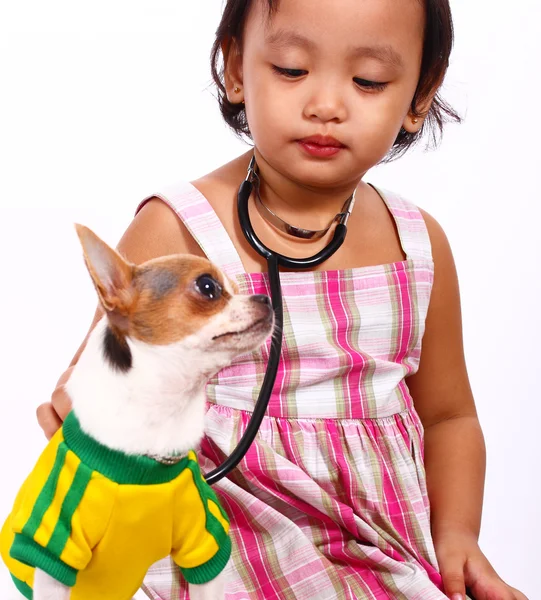 Menina amorosa cuidando de seu animal de estimação Chihuahua — Fotografia de Stock