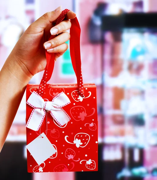 Holding A Gift Wrapped Present — Stock Photo, Image