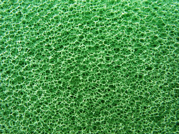 Detail textury zelená houba — Stock fotografie