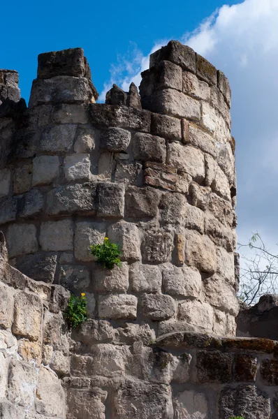 Burgmauer mit Fenster darin — Stockfoto
