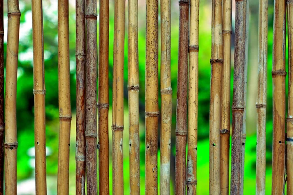 Fundo de bambu no fundo embaçado verde com copyspace — Fotografia de Stock