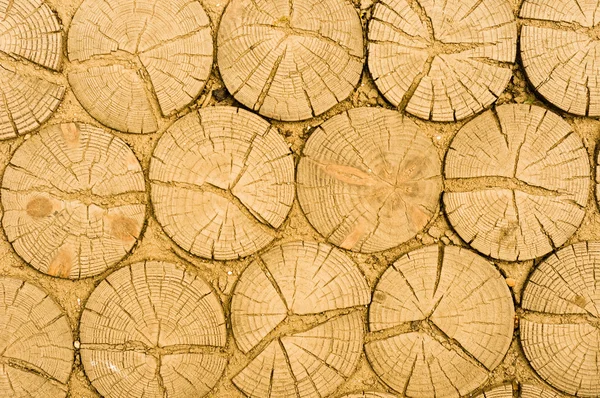 Troncos de madera textura —  Fotos de Stock