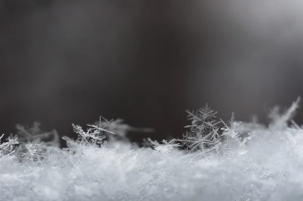 Ледяные суставы с расплывчатым фоном — стоковое фото