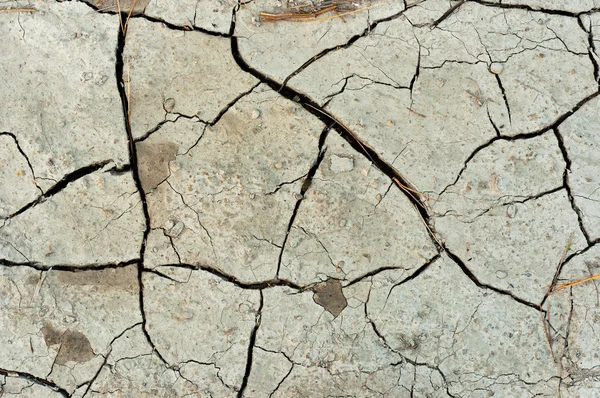 Textura seca do solo rachado — Fotografia de Stock