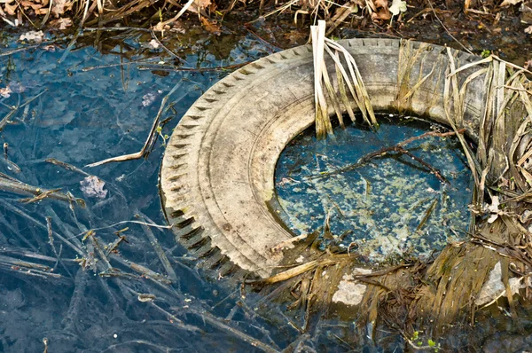 Large truck tire dumped in the water — Stock Photo, Image