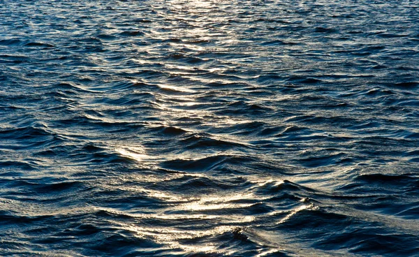 深海テクスチャ反射 — ストック写真