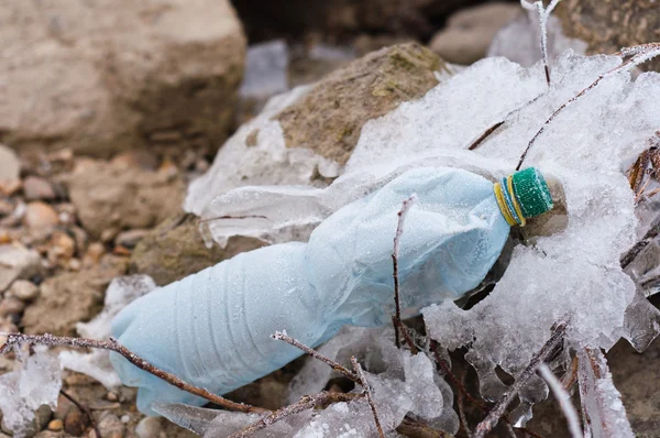 Botella vacía congelada en las rocas en la orilla — Foto de Stock