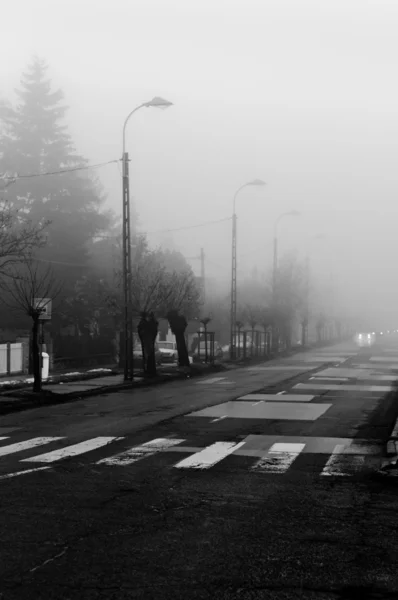 Camino oscuro en la niebla se centran en el paso de peatones con coches en el fondo —  Fotos de Stock