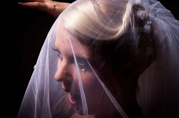Surprised bride in veil — Stock Photo, Image