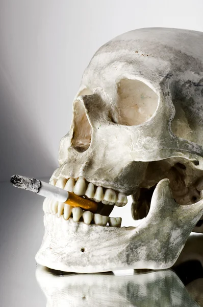 Crânio com cigarro queimado na boca — Fotografia de Stock