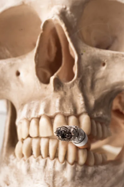 Human skull with burnt down cigarette — Stock Photo, Image