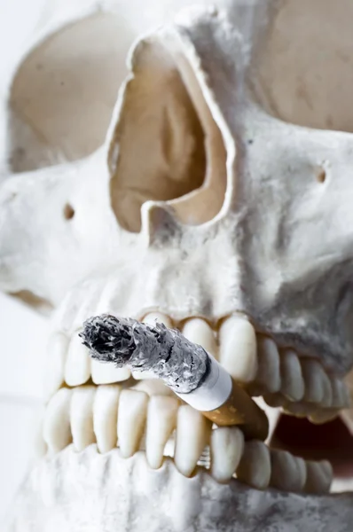 Череп с горящей сигаретой во рту — стоковое фото