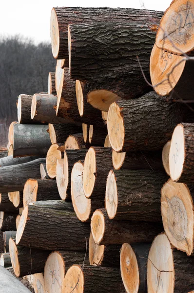 Opgestapeld houten logboeken — Stockfoto
