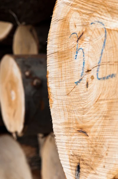 木製ログ テクスチャのクローズ アップ — ストック写真