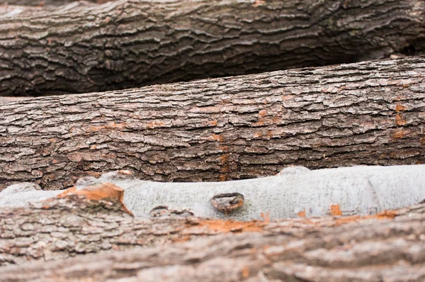 積み上げ木のログ — ストック写真