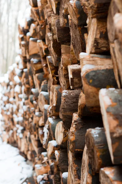 Logs of wood piled up with snow on them — Stock Photo, Image