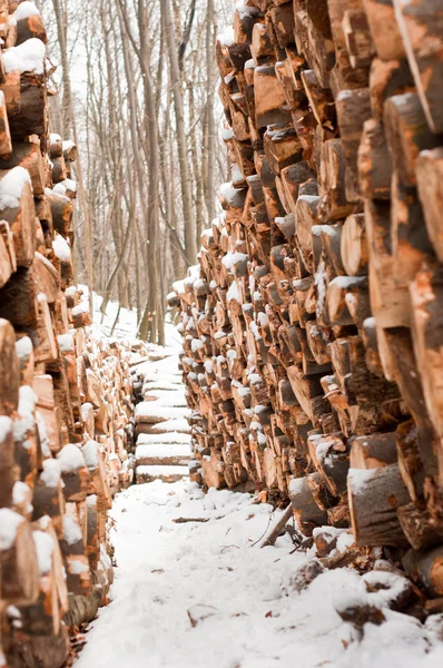 積み上げ木製 loges は雪で覆われて — ストック写真
