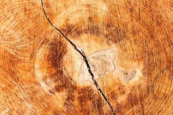 Tekstur kayu dengan retak di dalamnya — Stok Foto