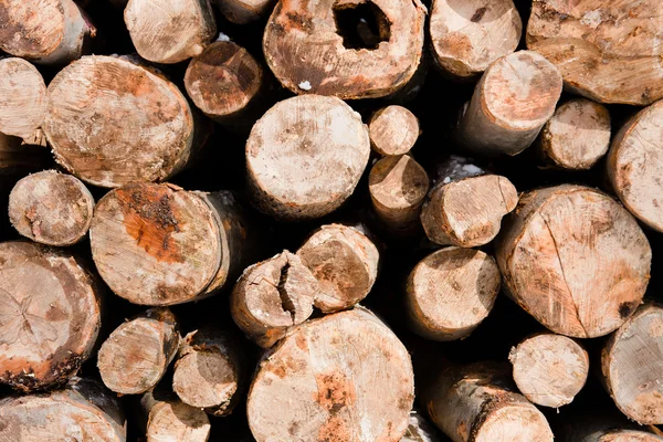 Logs de madeira empilhados — Fotografia de Stock