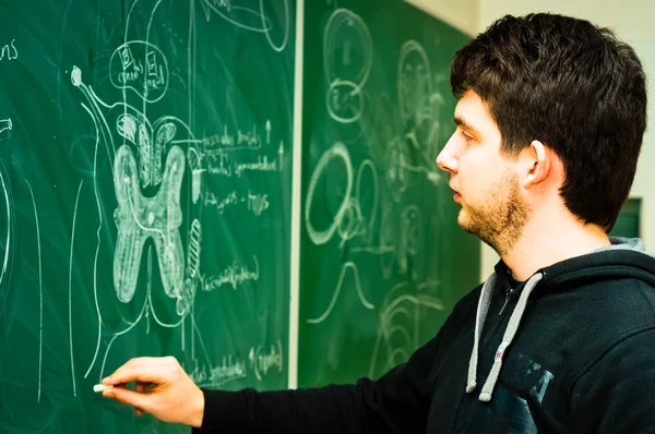 Young student showing spinal chord on green chalk board Royalty Free Stock Images