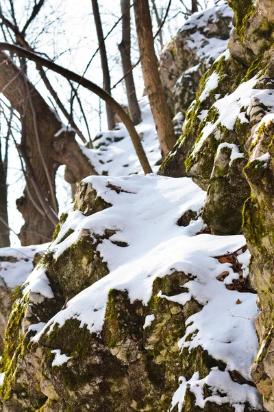 Скалы, покрытые снегом и растениями — стоковое фото
