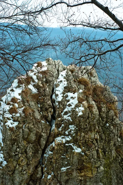 雪和植物与蓝色背景所涵盖的岩石 — 图库照片