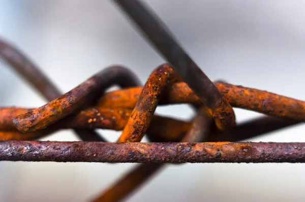 Barbed wire with selective focus — Stock Photo, Image