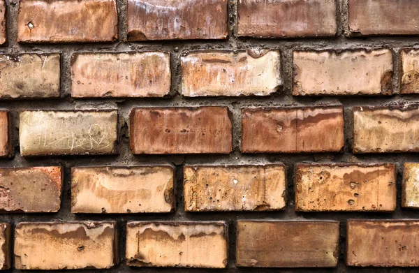 Textur einer Ziegelmauer — Stockfoto