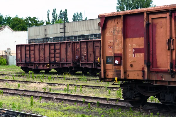 Oude treinen in een trainyard — Stockfoto