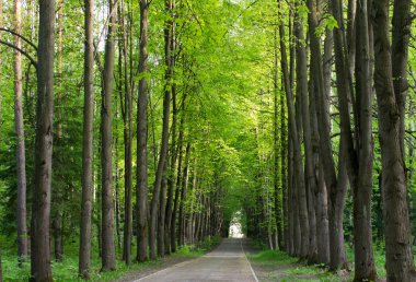 Uzaktan bırakarak parça Park,