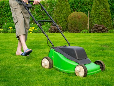 Green grass is mowed lawn mower clipart