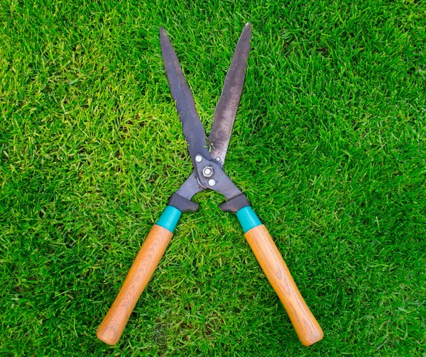 stock image Clippers on the green grass