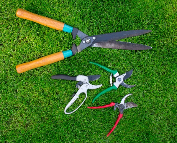 Stock image Clippers on the green grass