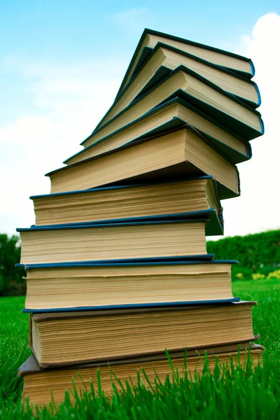 stock image A stack of books lying on green grass