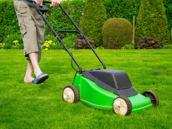 Stock image Green grass is mowed lawn mower