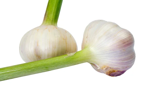 Stock image Garlics isolated on white background