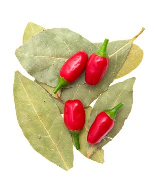 Laurel leafs, hot pepper on white background clipart