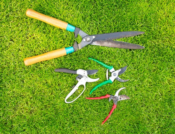 Stock image Garden Tools on the green grass