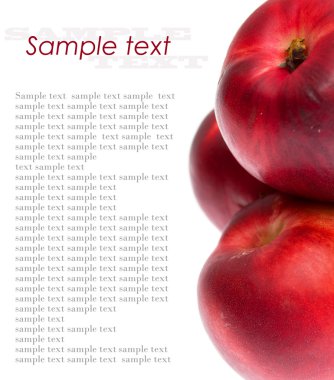 NEKTARİN örnek metin ile beyaz zemin üzerine