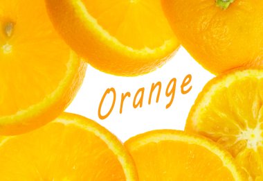 Darwin'in dilim. Beyaz arka plan üzerinde izole