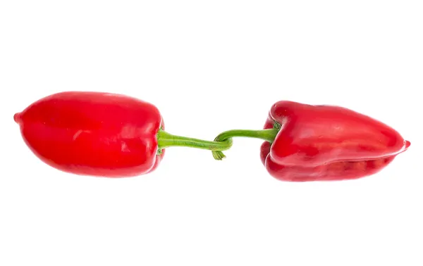 stock image Red pepper isolated on white