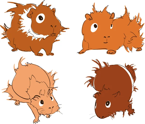 Cerdos de Guinea — Vector de stock
