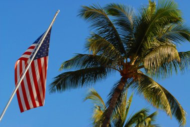 Hawaii Amerikan bayrağı