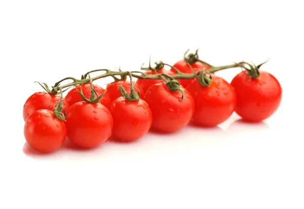 stock image Fresh tomato