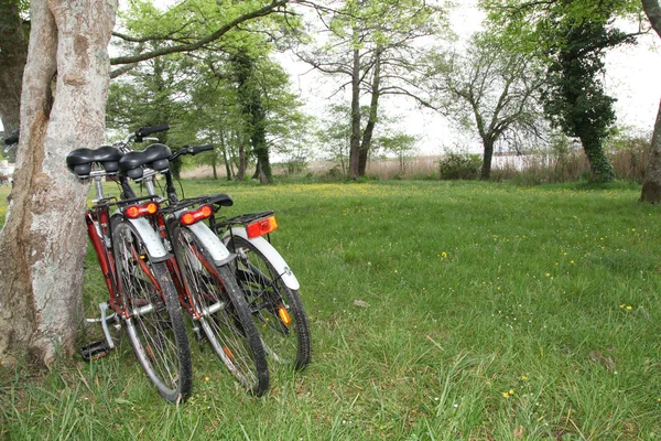 Велосипеди в сільській місцевості — стокове фото