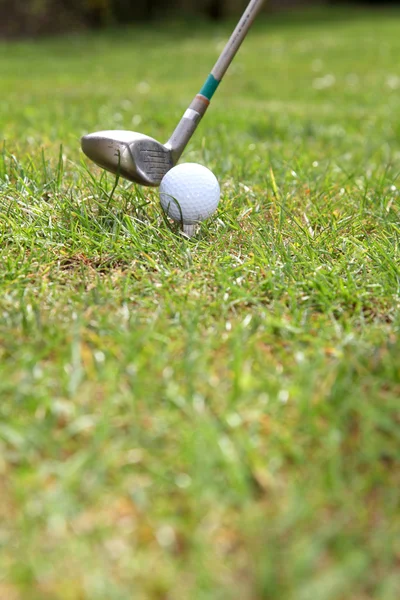 Primer plano en el tee del golf — Foto de Stock
