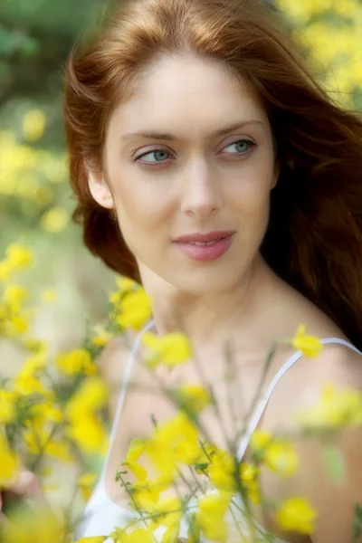 Retrato de mujer hermosa en el campo de escobas — Foto de Stock