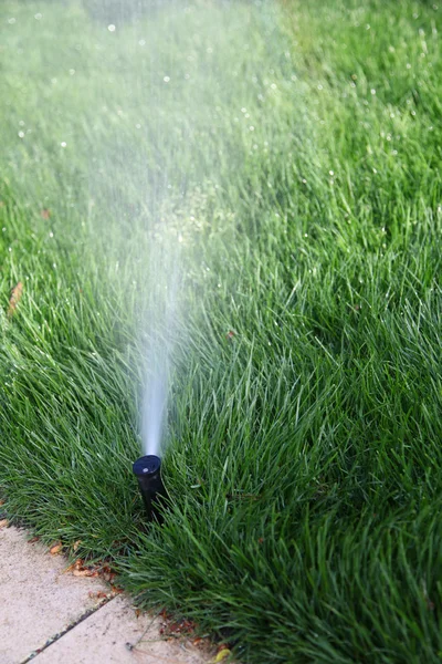 Closeup on sprinkler — Stock Photo, Image