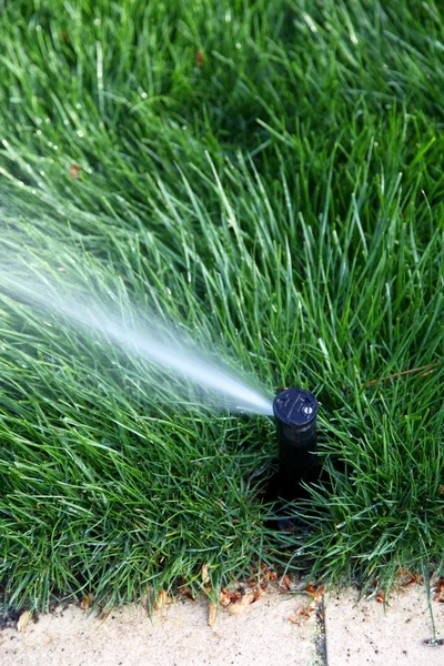 Closeup on sprinkler — Stock Photo, Image